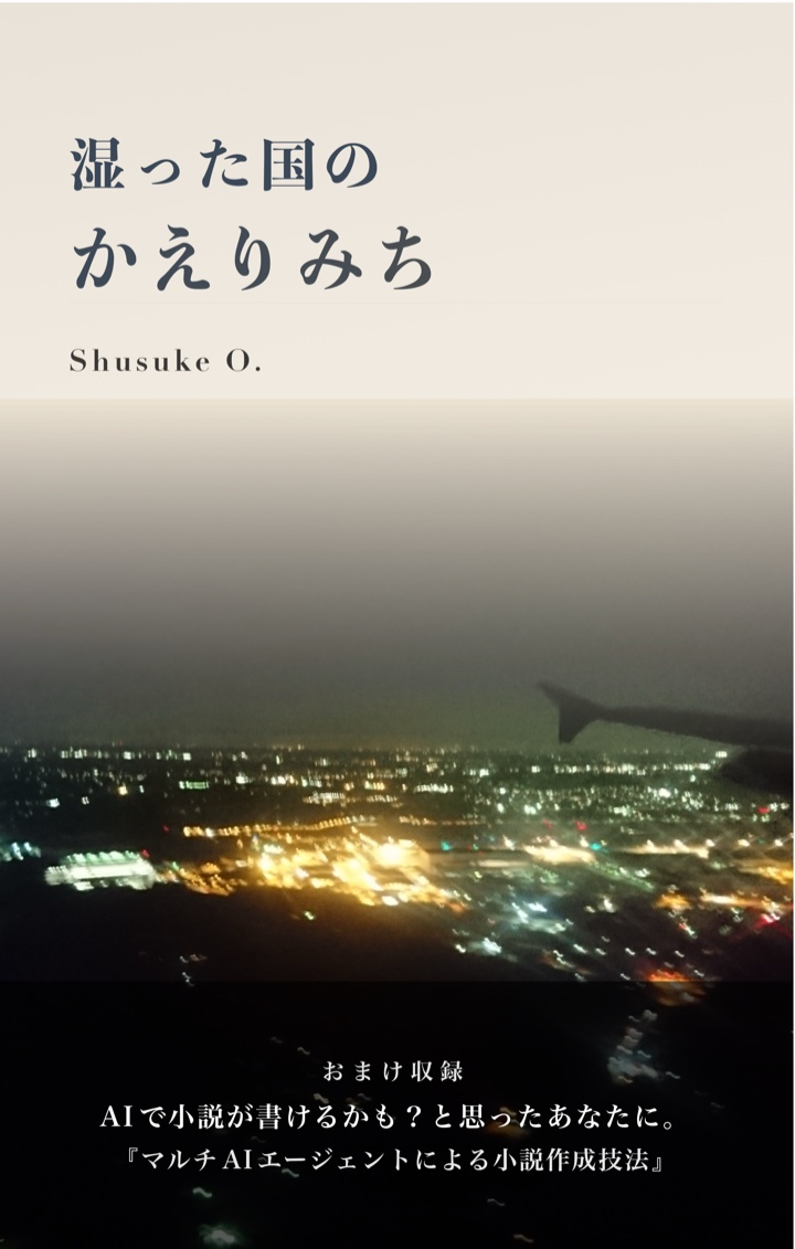湿った国のかえりみち 表紙